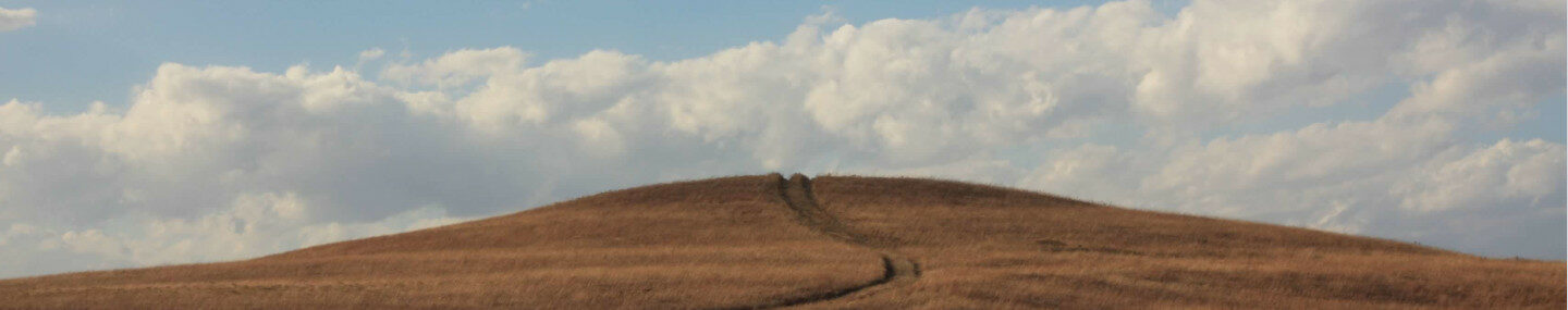 A light blue sky with bright white cumulus clouds above a native grassland hill over which a rutted pathway meands.